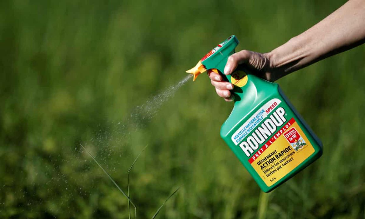 >80% of urine samples from children and adults contained a weed killing chemical called glyphosate which has been linked to cancer and Alzheimer's risk. Another reason to eat organic, at least for certain foods likely to be contaminated. wwwn.cdc.gov/Nchs/Nhanes/20…