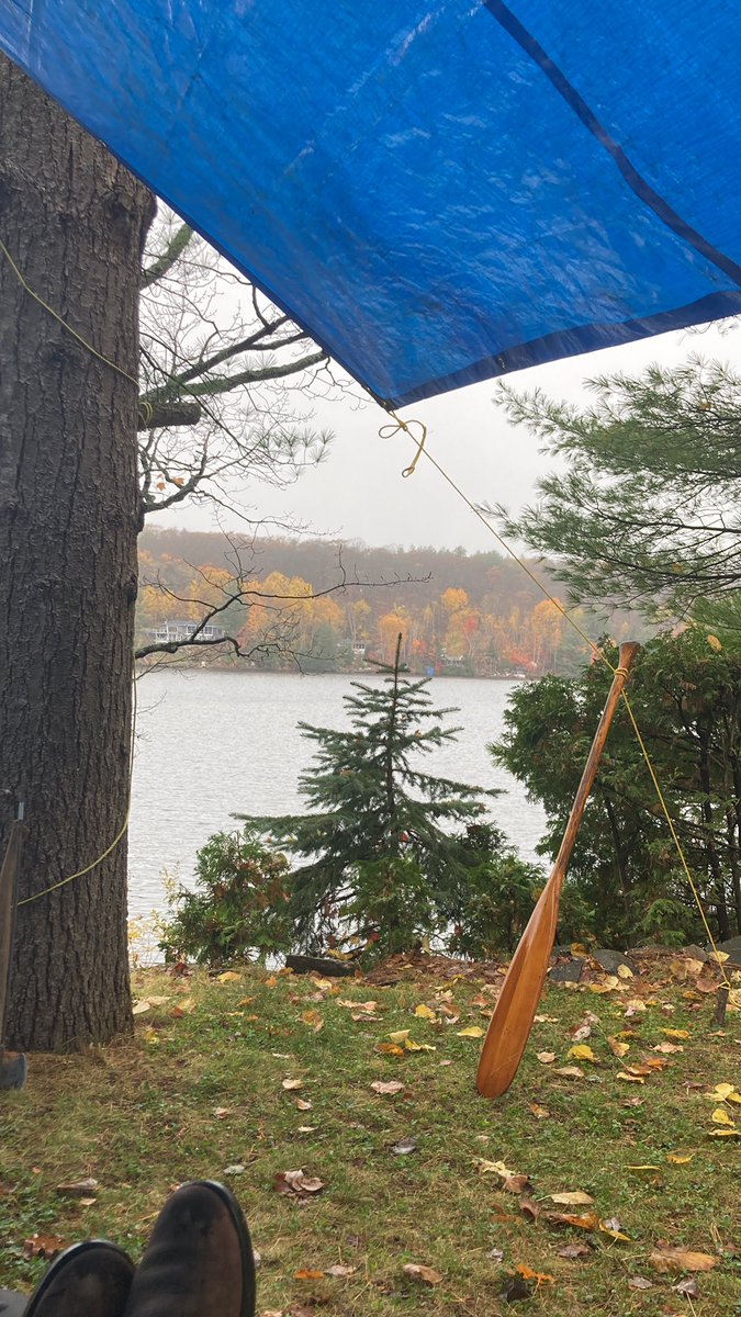 jang_moragh's tweet photo. Connecting vs disconnecting:the paradoxical challenge.
Is it possible to connect with nature without disconnecting from technology?
I am finding it tricky to fully connect with nature while staying connected to internet #EDUC520 https://t.co/ckGaSP63yR