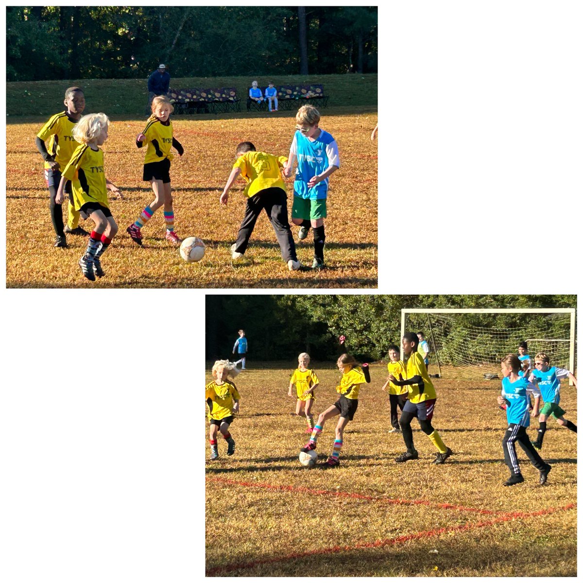 Cindi R Parker tweet media