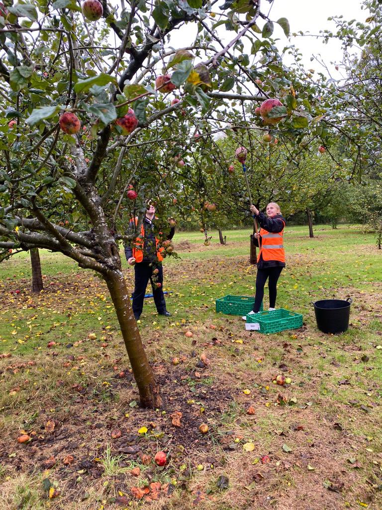 Today Walsall Cadets have helped with the annual apple picking at #walsallarboretum and got to meet Chris Towe the Walsall Mayor #policeCadets @WalsallPolice