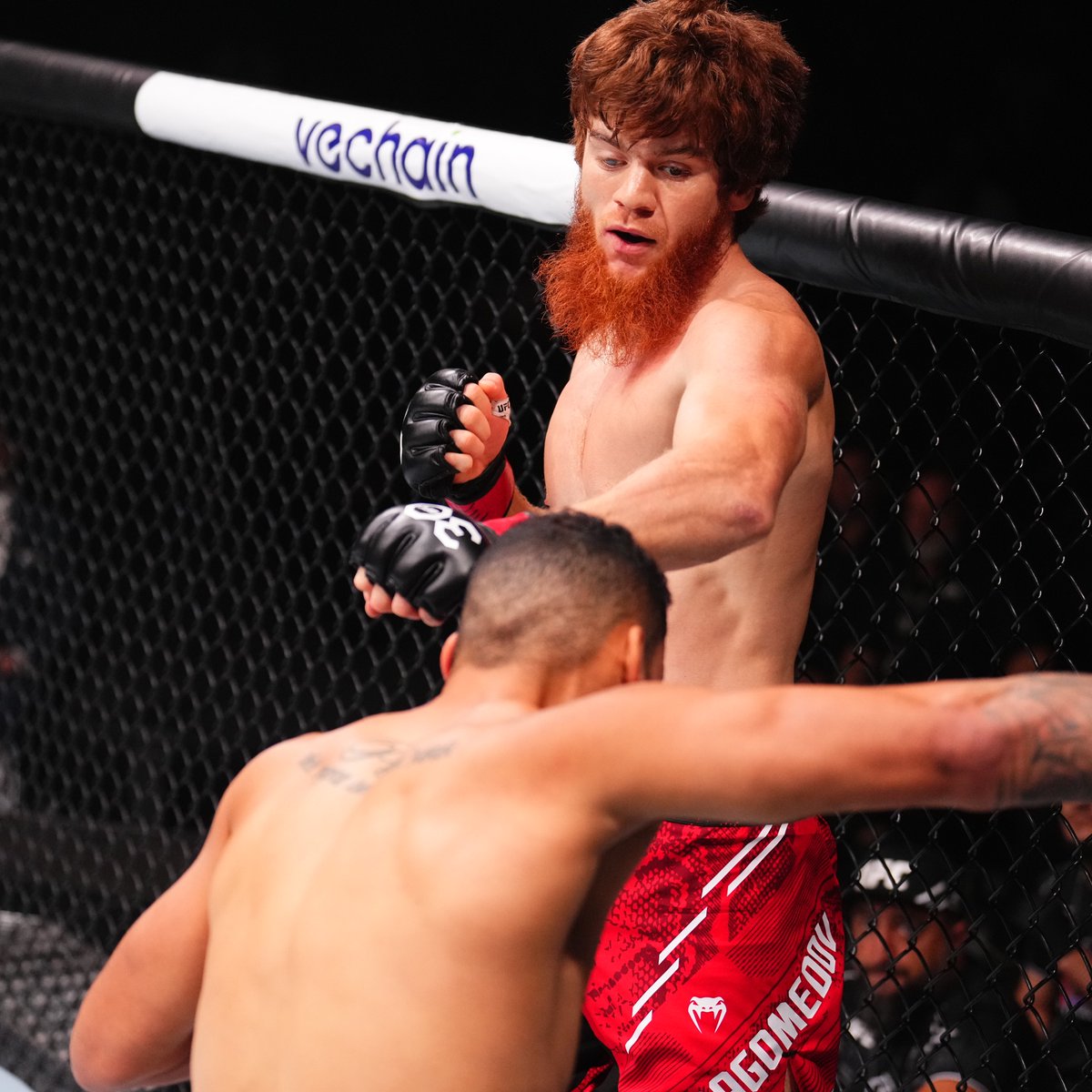 UFC tweet media