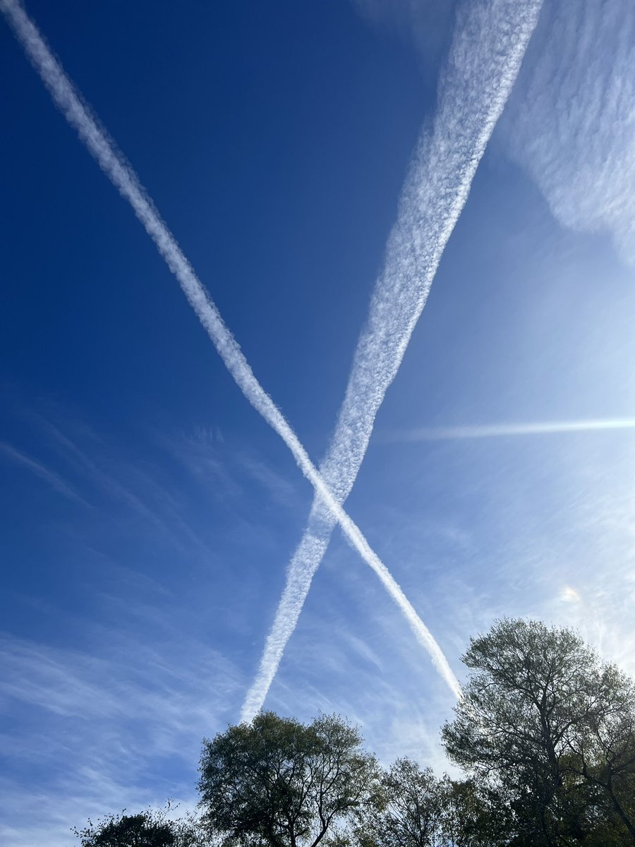 _lovablecurves's tweet image. GM - this was my daily reminder to post a GM on @X today - it’s definitely a sign… right ? #Simulation theory #simtheory