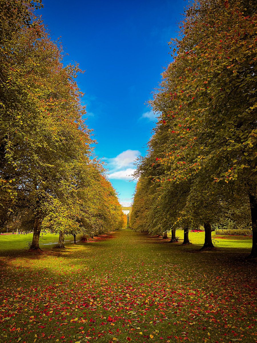 Stormont taking on #Autumn 🍂 #Fall beautiful day will blue skies