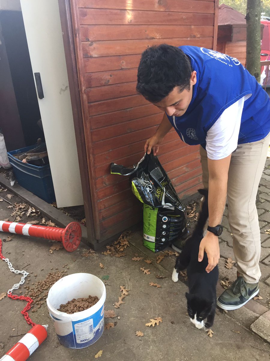 GSB_SakaryaGM's tweet photo. 🇹🇷 Serdivan Gençlik Merkezi 🇹🇷
Sevgi ve Merhamet Timi üyesi gençlerimiz sokakta kalan patili canları unutmadılar. 🐾😻
#GSBGM
#SevgiMerhametTimi https://t.co/Q91NioIr5S
