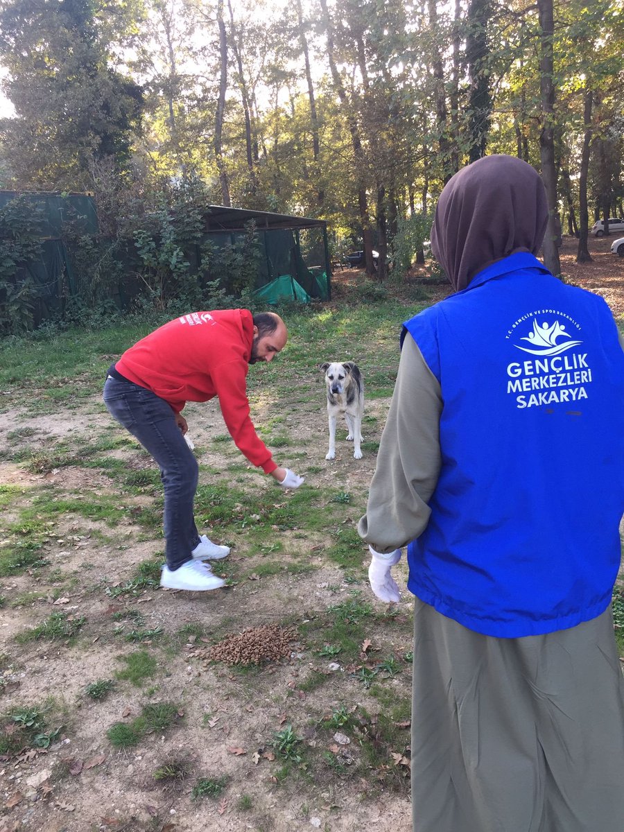 GSB_SakaryaGM's tweet photo. 🇹🇷 Serdivan Gençlik Merkezi 🇹🇷
Sevgi ve Merhamet Timi üyesi gençlerimiz sokakta kalan patili canları unutmadılar. 🐾😻
#GSBGM
#SevgiMerhametTimi https://t.co/Q91NioIr5S