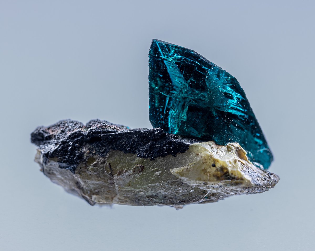 ScoLiro_Vesze's tweet photo. Veszelyite
Black Pine Mine,
Philipsburg Mining District,
Granite County, Montana, USA
EX, Martin Jansen Collection 

最高の標本　購入出来て幸運だった https://t.co/Gk3HuZWRw7