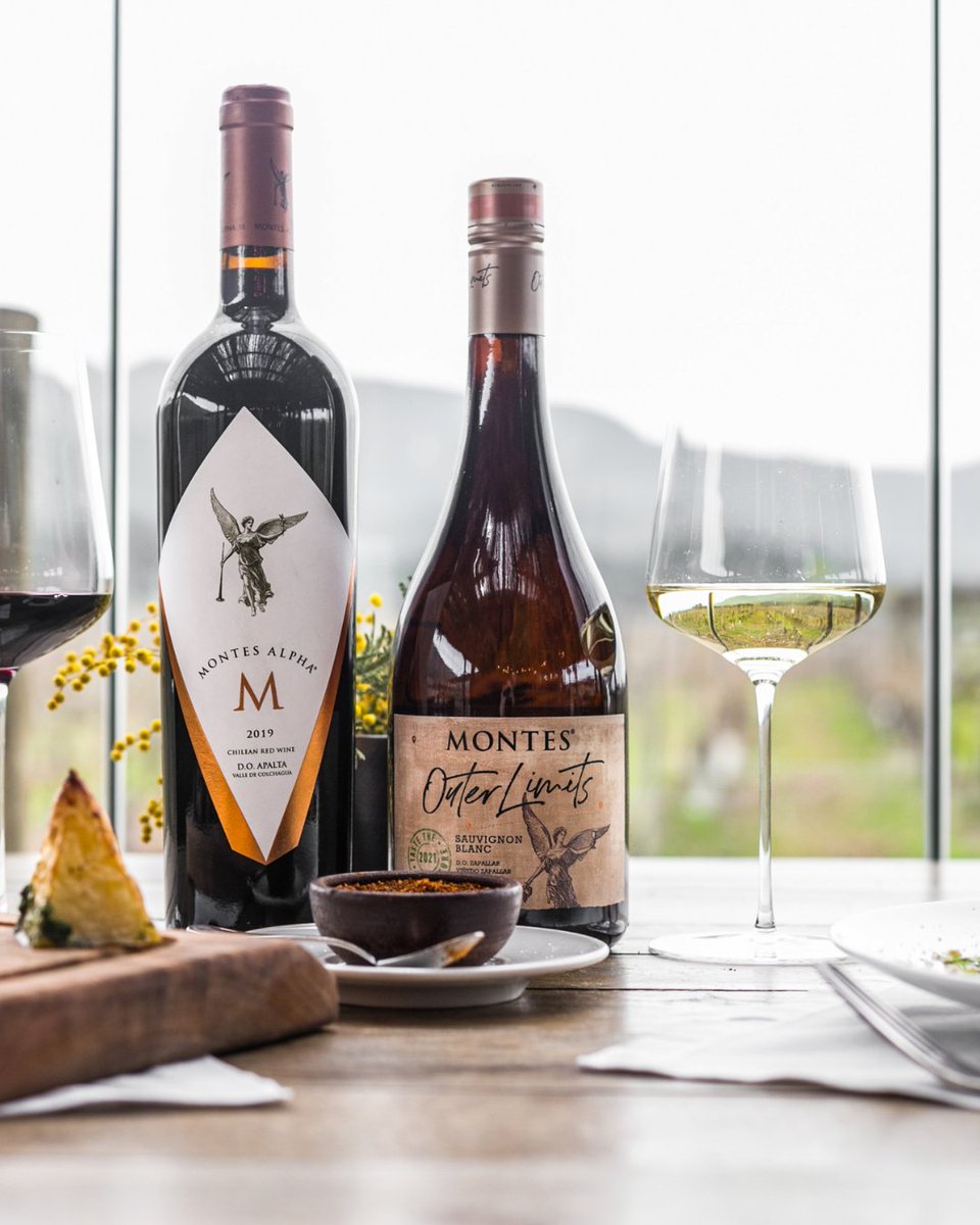 One of the must-experience moments in the Colchagua Valley is enjoying a meal amidst the stunning vineyards at Fuegos de Apalta.

Who would you go here with? 💬