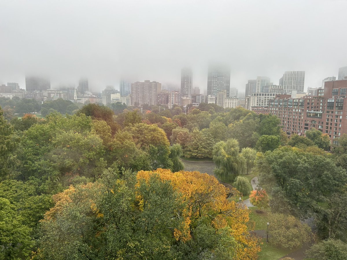 Michelle Apuzzio tweet media