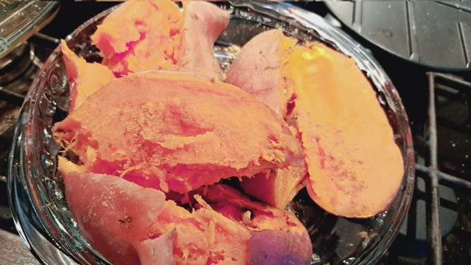 Something good  🍠 🫚 🍯  😋  #food #caturday feels https://t.co/z0hnflTFBm<a href="/tag/food"class="tags">#food</a><a href="/tag/caturday"class="tags">#caturday</a>