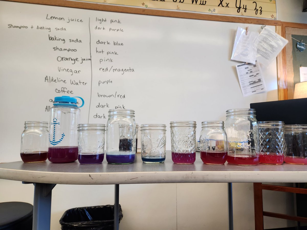 Ginger Allen tweet media