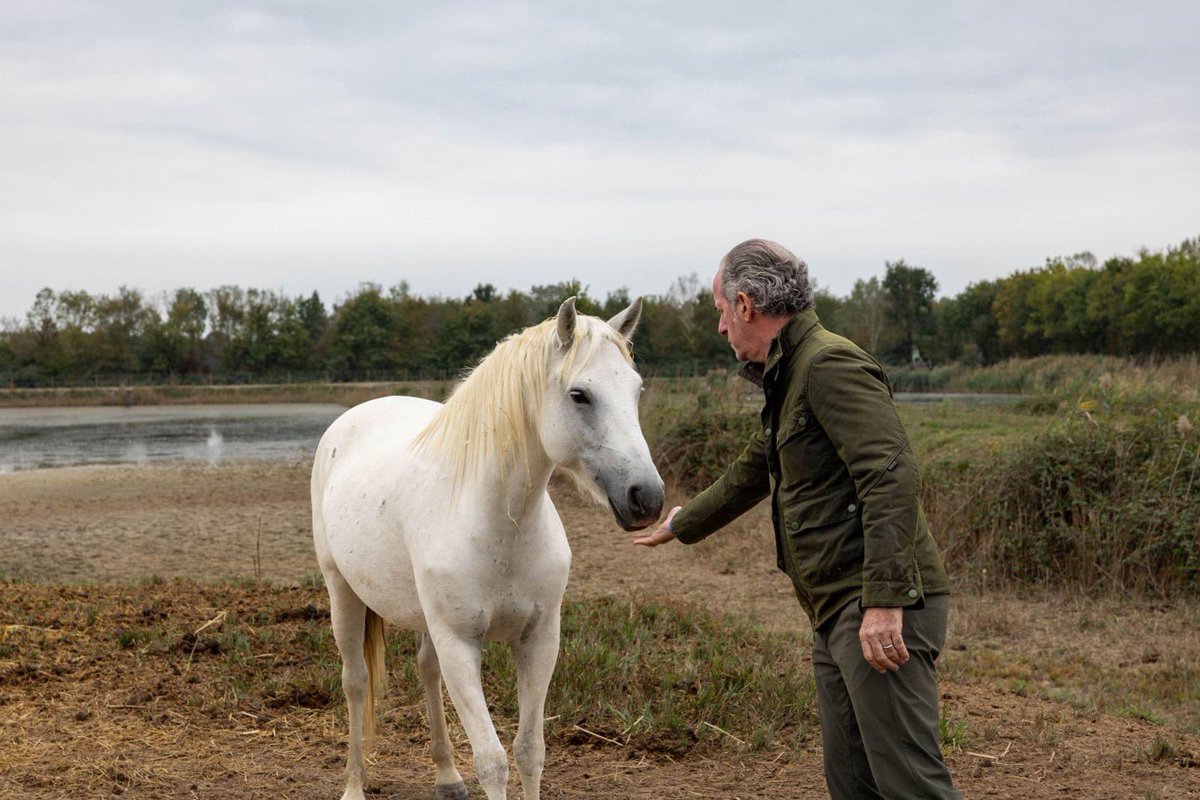 Il presidente Luca Zaia in visita ai primi puledri nati nella nostra Oasi di Vallevecchia (Caorle). Il progetto di rinaturalizzazione del Cavallo del Delta iniziato nel 2022 ha lo scopo di aumentare la numerosità di questa specie attraverso la ricostruzione dell'habitat tipico.