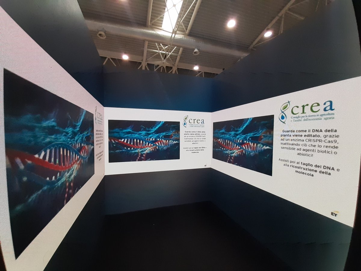 Qualche scatto dal Maker Faire Rome -The European Edition 
Provate il cubo immersivo Con <a href="/EYnews/">EY</a> #Agrocamera
<a href="/pOsti_world/">pOsti</a>
<a href="/AssobiotecNews/">Assobiotec News</a> <a href="/ClusterCLAN/">Cluster Agrifood</a>
👇