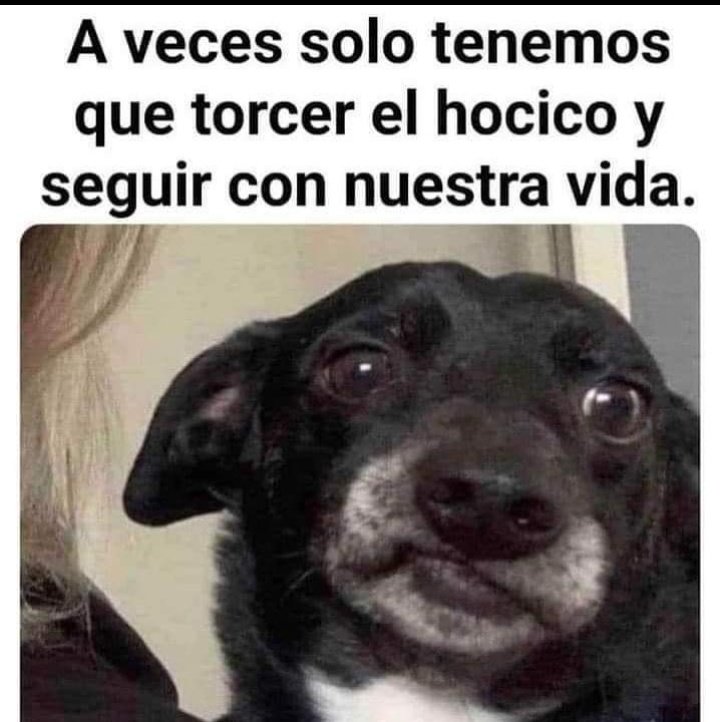 AleTenorioP's tweet photo. Jajajaja! https://t.co/zsxv5XhBai