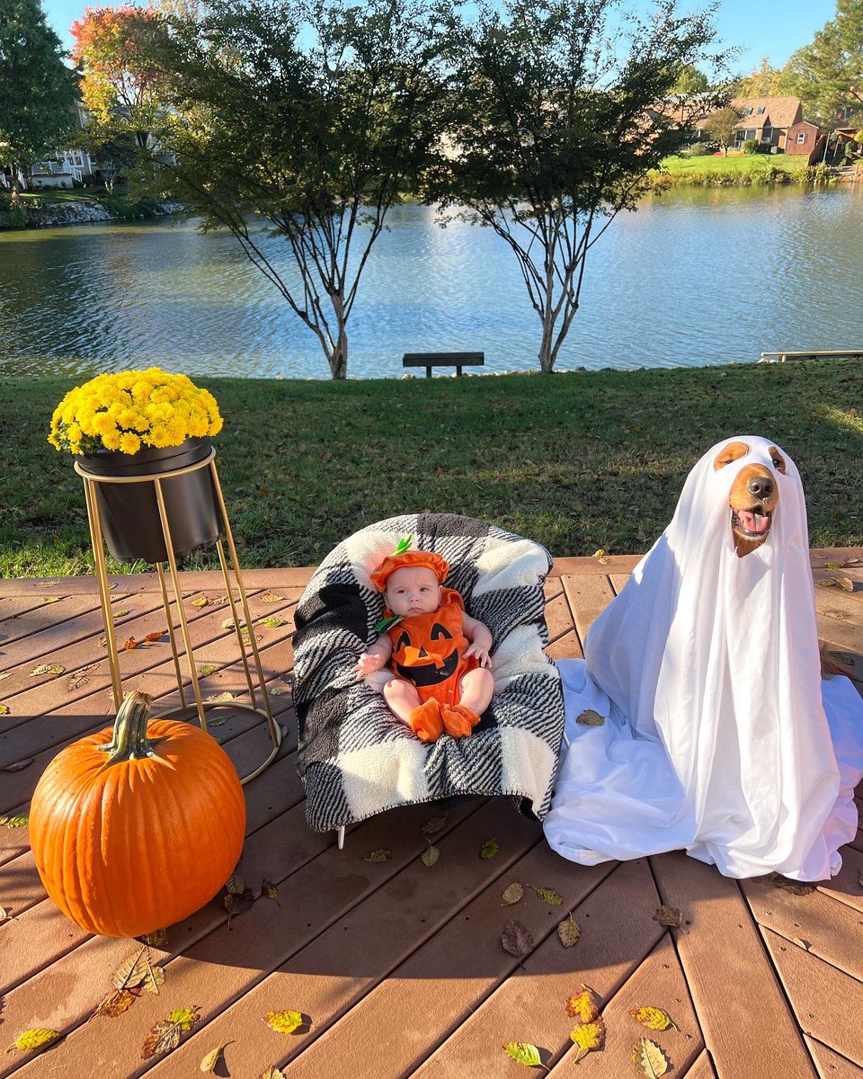 Chelsea Bax tweet media