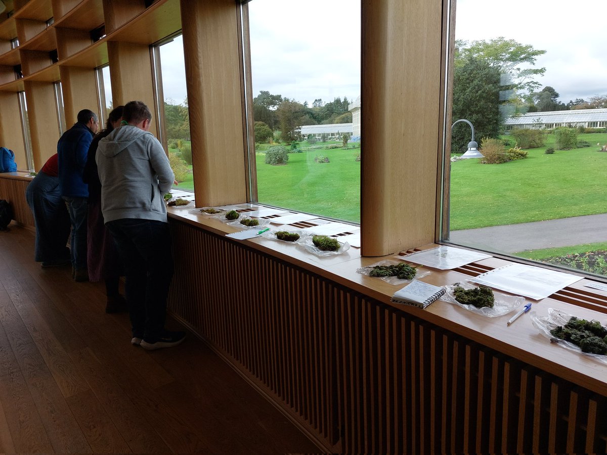 Fantastic bryophyte workshop with @Bryospod at the #bsbiautumnconference bag packed with samples to take home and enjoy! @BSBI_Ireland