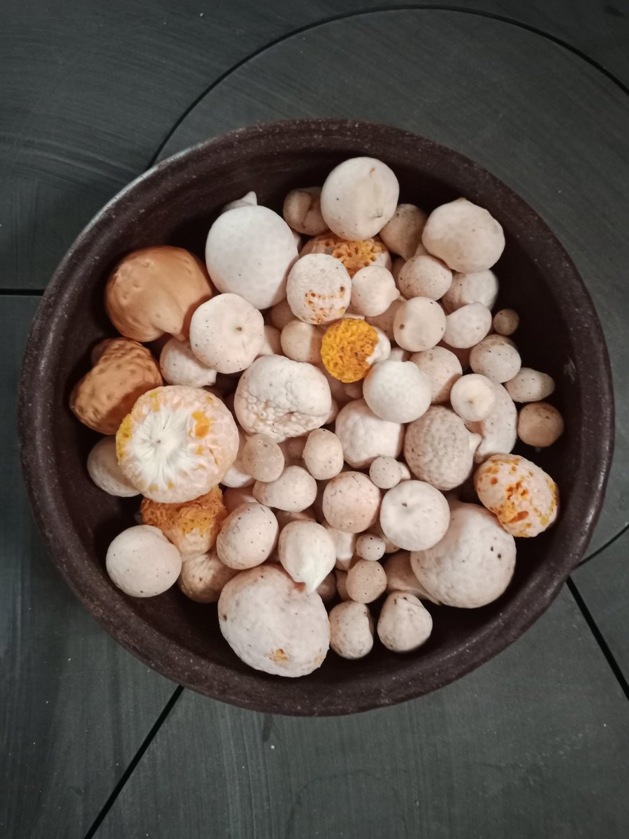 RONY PANTOJA tweet media