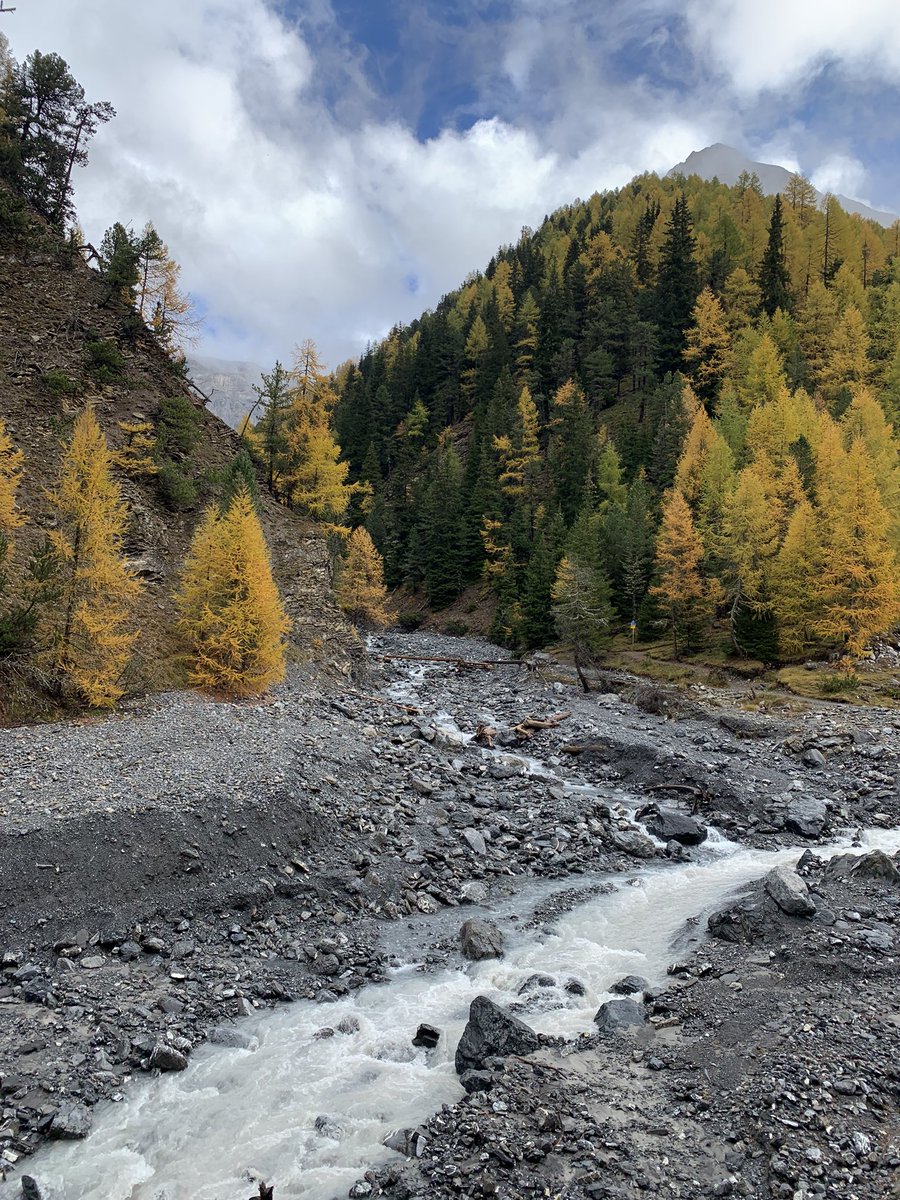 rrivola's tweet photo. This time of the year in #engadin #schweizernationalpark  @EngadinStMoritz https://t.co/d4GDKudKFf