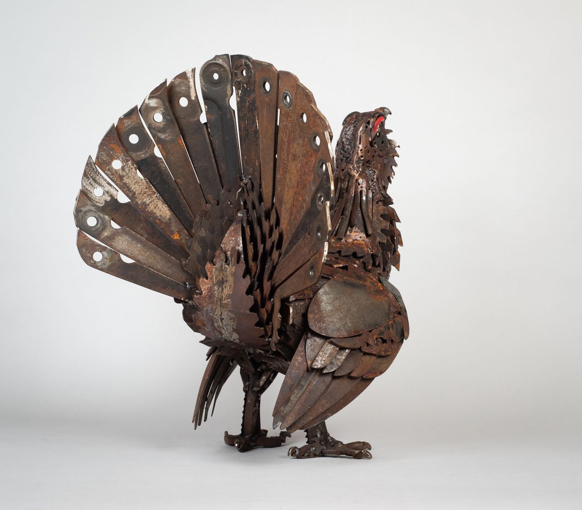 HarrietMead1's tweet photo. Shear Capercaillie will be on show @swlanaturaleye @mallgalleries 1-11 November. I'm really happy with how this has turned out. #capercaillie #SWLA60 #wildlifeart #metalsculpture #recycledart https://t.co/QBfbPZumuj