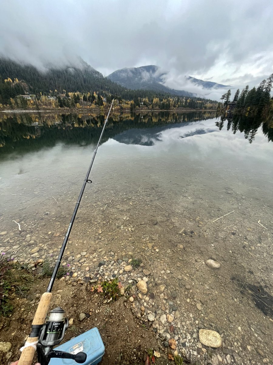 martincorb793's tweet photo. Hopefully get to try the fish id app next. #EDUC520 https://t.co/bOX3XCyA5f