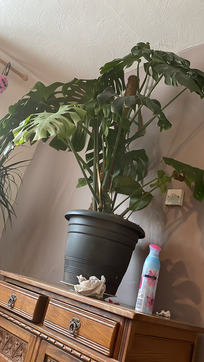 matt strange (@mattstrange14) on Twitter photo 