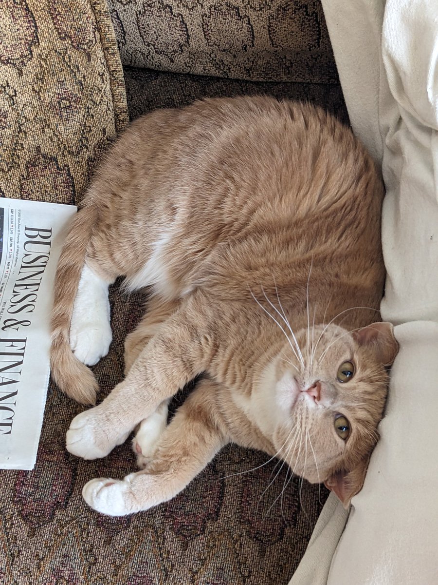 Mr. Thee tweet media