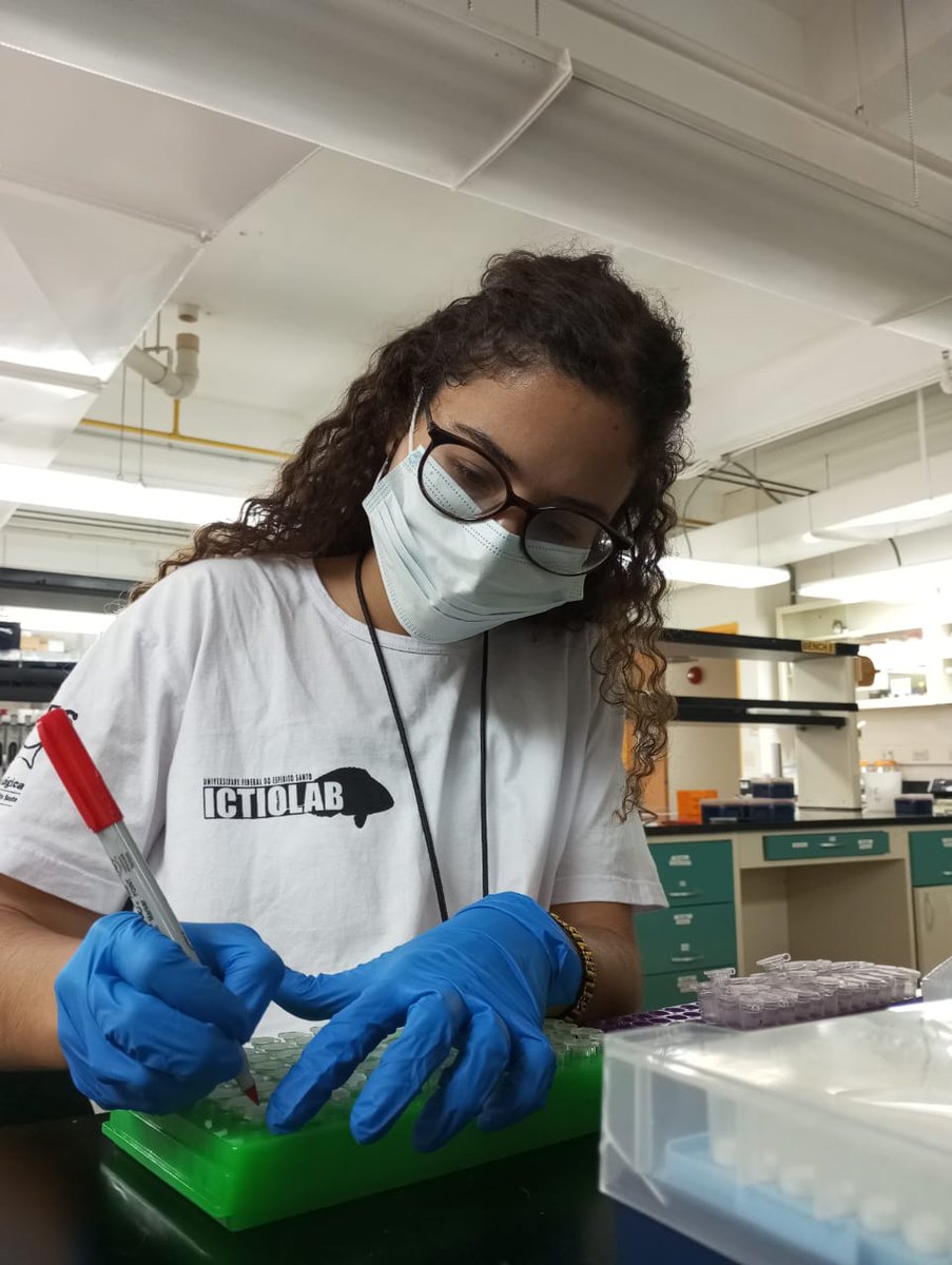 thais_quintao's tweet photo. It is a privilege to be part of  the @Matt_Leray  team  and work at @stri_panama. Can't wait to see the results of this collaboration with @gobysimon 🐟🐠 @ictiolab https://t.co/QVsm4BUbCI