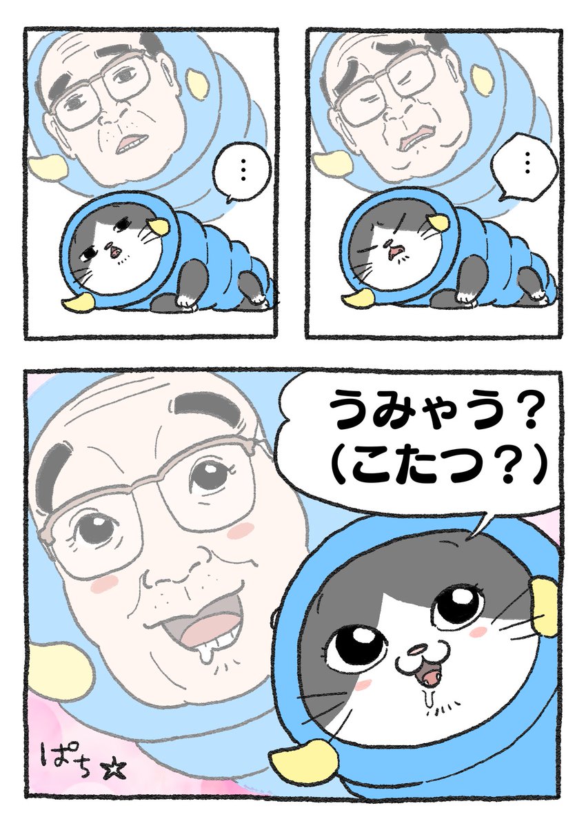 ねこに転生したおじさん。その259
