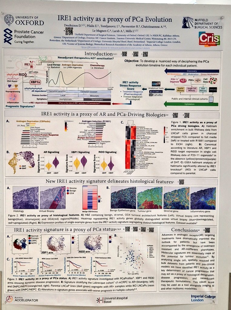 OxPCaBiol's tweet photo. @ddoultsinos presents a nice poster at #ESUR23 on #IRE2 activity as a surrogate for #ProstateCancer evolution in a project combining #ST, #Organoids, clinical datasets & sensible hypothesis driven reasoning. Excellent collaborations established with @ClemLeMagnen.
@Uroweb https://t.co/qhKc3ASGYm