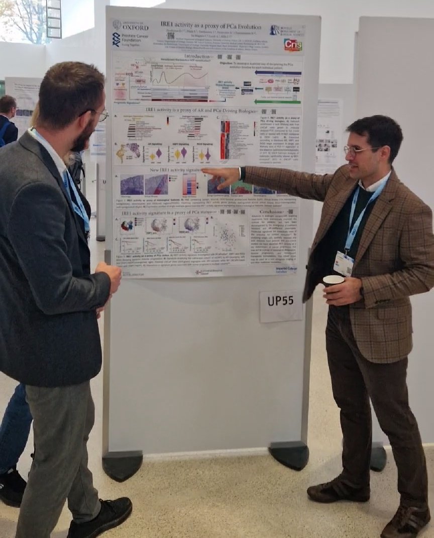 OxPCaBiol's tweet photo. @ddoultsinos presents a nice poster at #ESUR23 on #IRE2 activity as a surrogate for #ProstateCancer evolution in a project combining #ST, #Organoids, clinical datasets & sensible hypothesis driven reasoning. Excellent collaborations established with @ClemLeMagnen.
@Uroweb https://t.co/qhKc3ASGYm