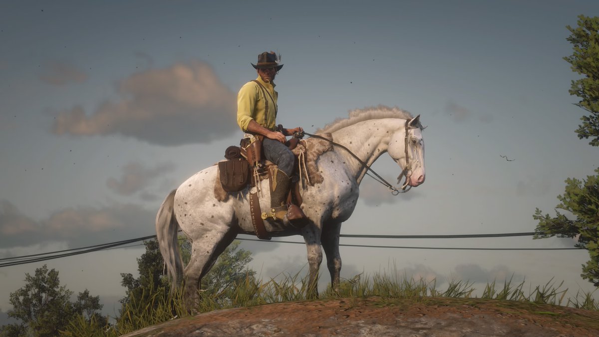 Wizz_008's tweet photo. #RedDeadRedemption2 #RDR2 #virtualphotography #ArthurMorgan #PS4share https://t.co/UjNezRh3SE