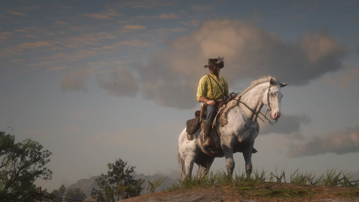 #RedDeadRedemption2 #RDR2 #virtualphotography #ArthurMorgan #PS4share