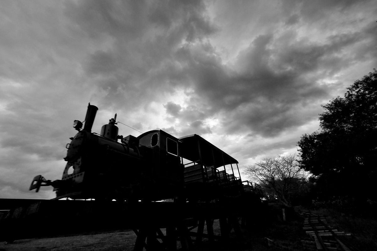 inemuri604's tweet photo. 16時過ぎ 最後の運行を終えた3号機が回送で車庫へ向かいます
1日、お疲れ様でした~
#成田ゆめ牧場
#まきば線
#羅須地人鉄道協会
#OMSYSTEM
#OM1
#HF007014 https://t.co/qESnR2idor