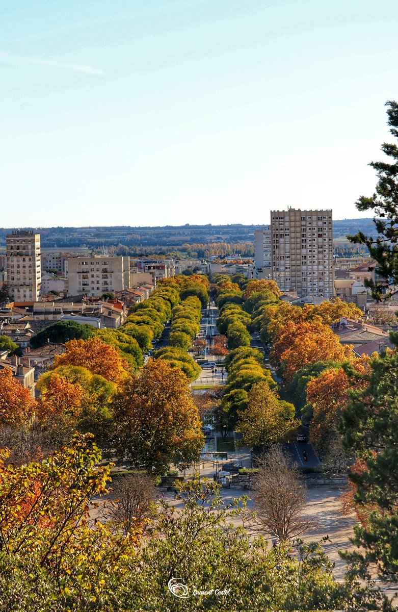 Nîmes boulevard Jean Jaurès #Nîmes #Autumn #automne #streetphotographer #streetphotographie