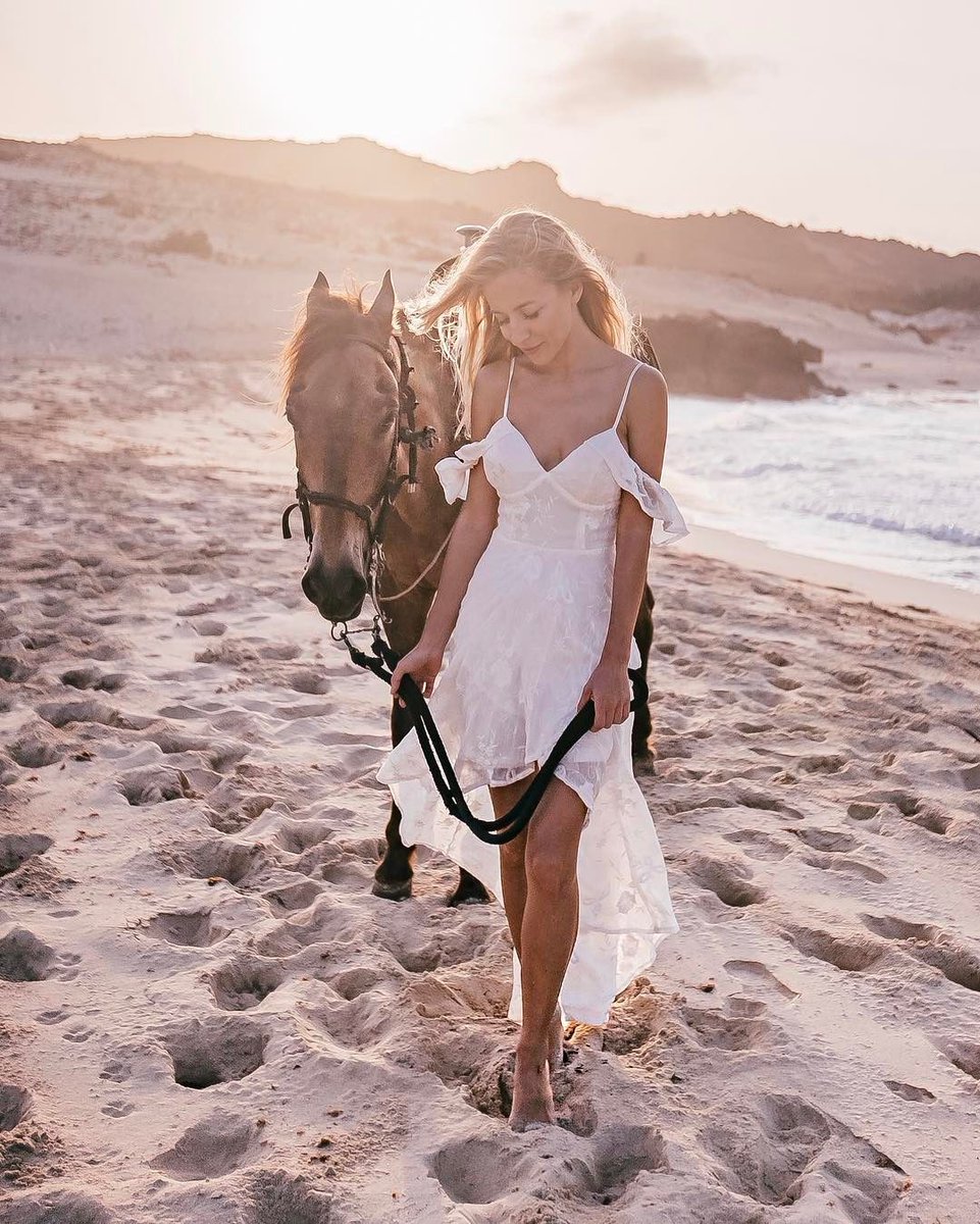 Frankie *D* tweet media