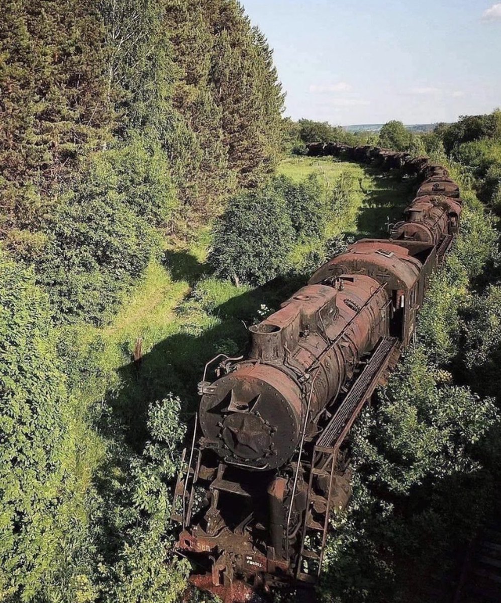Abandoned Soviet-era Train in Russia.

During the Cold War, Russia parked hundreds of old trains on old tracks as a backup railway. They're all steam engines; the idea was they could still be used if something happened to the Russian electric grid.

In Russia's central Perm