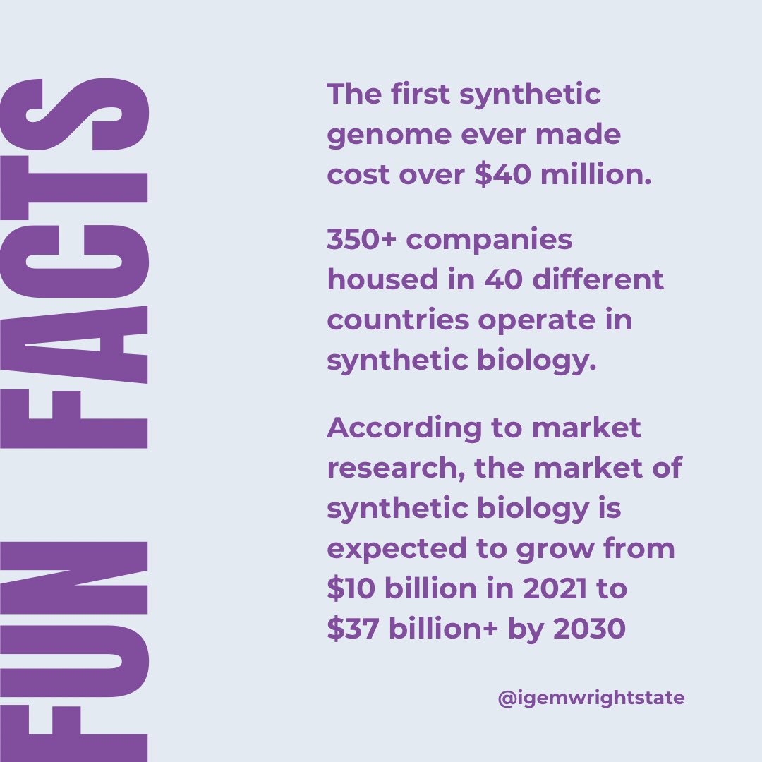 WrightStateiGEM tweet media