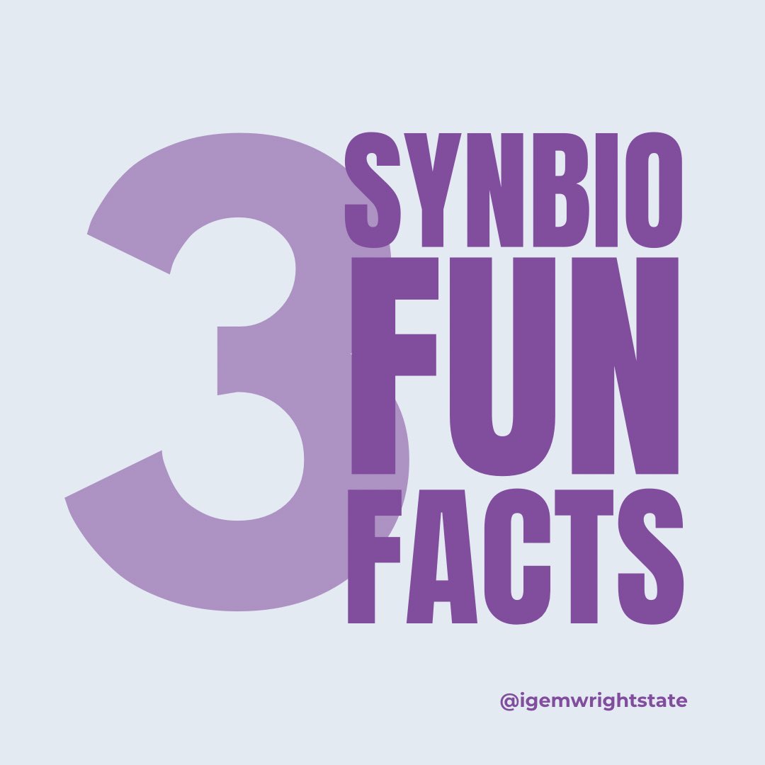 WrightStateiGEM tweet media