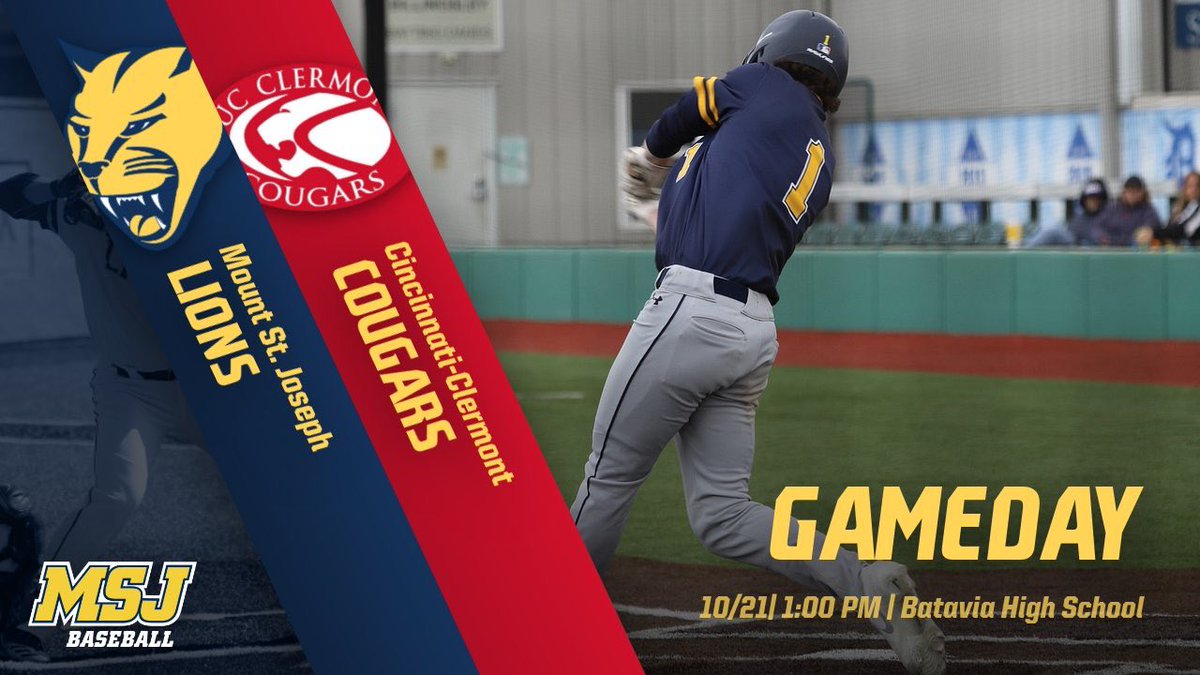 MSJ Baseball (@msj_baseball) on Twitter photo 