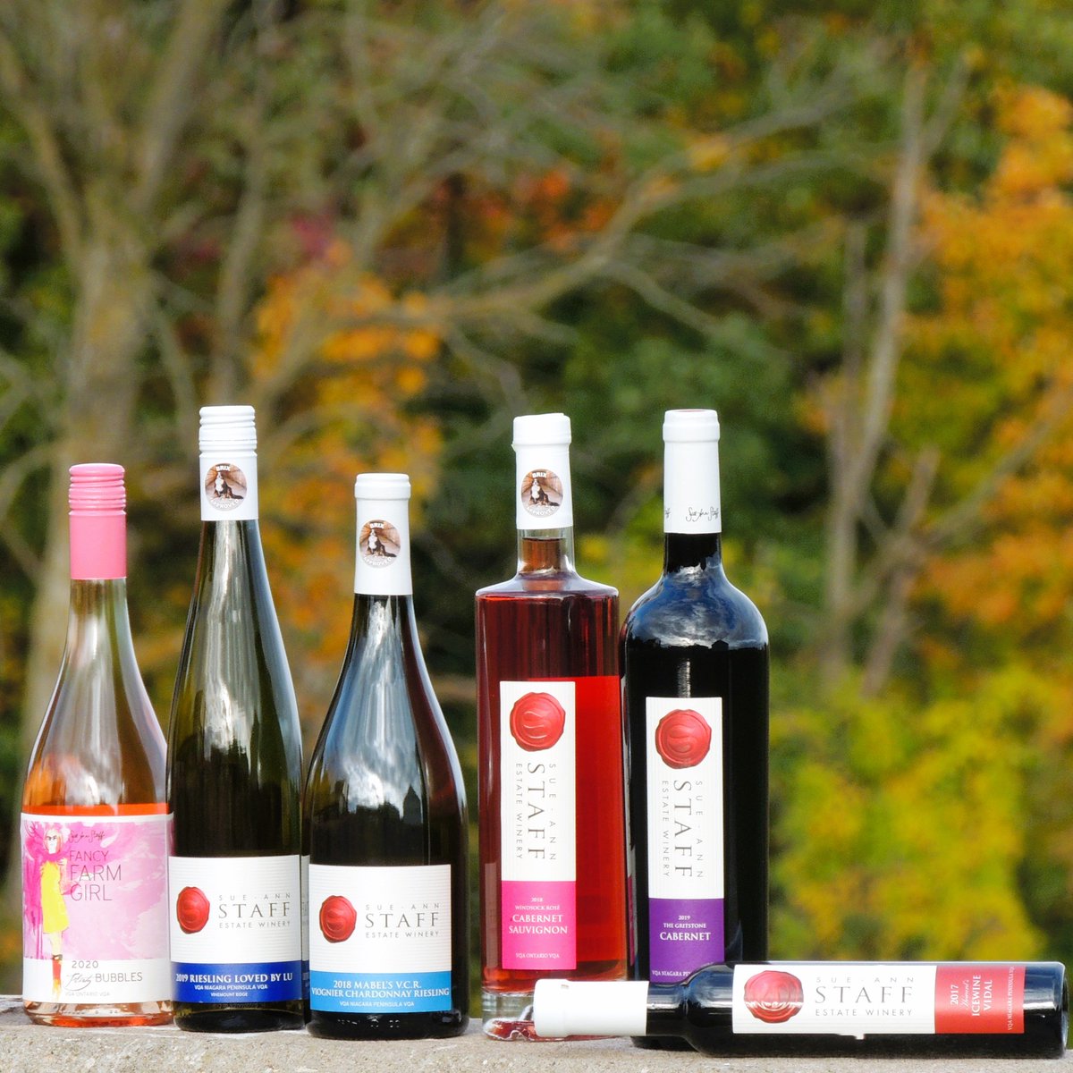 SueAnnStaff's tweet image. Stock up on amazing fall-friendly wines, made with ❤️here at Sue-Ann Staff Estate Winery. Sip local, shop local, LOVE LOCAL! sue-annstaff.com/collections/sp…

#VQA #winecountryontario #niagarawines #niagarabenchlands #vinemountridgesubappellation #goodthingsgrowinONtario