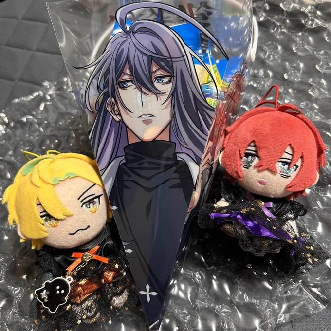 帰ったらカプリコが届いていたっ!思ってたのの倍デカい