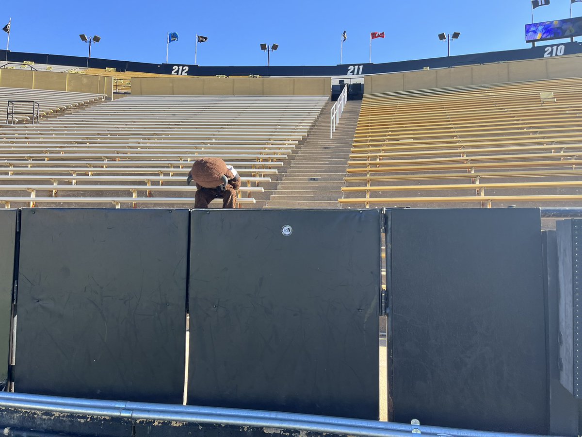 CUBoulder's tweet photo. It’s a bye week for @CUBuffsFootball and @ChipTheBuffalo is bored without all his friends in Folsom 🥺 https://t.co/ixlEprjX9m