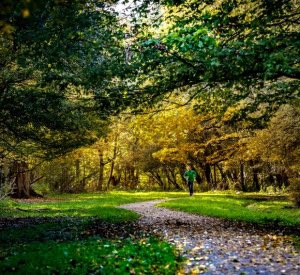 Om vast in je agenda te zetten: Zaterdag 28 oktober is de eerste Vijfhoekparkloop van 2023! De overige lopen zijn op 11 november, 25 november en 2 december. Ga naar avzaanland.nl/index.php?page… voor meer informatie. #hardloopwedstrijd  #runhappy