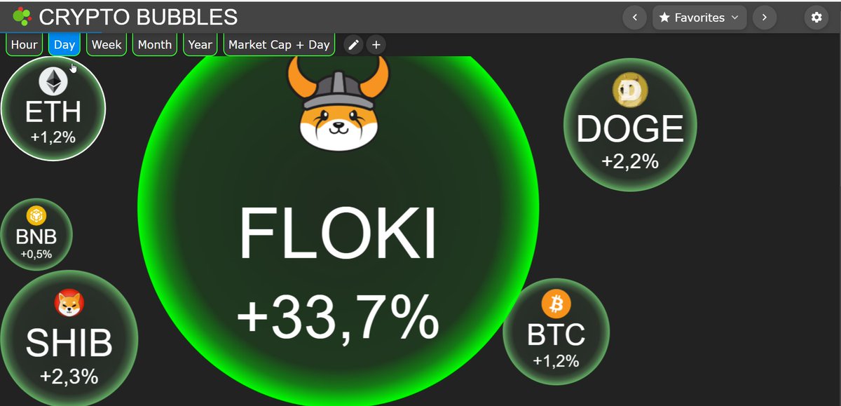 Doc Flokiwood tweet media