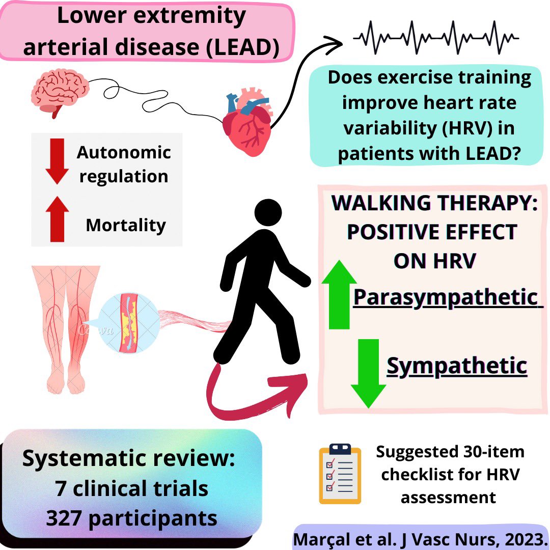 Isabela R Marçal (@isabelarmarcal) on Twitter photo ✨ Exercise 🏃♀️ PAD 🦵HRV 🫀
✅ Walking therapy: positive effect on heart rate variability in patients with lower extremity arterial disease
🆕 Systematic review : authors.elsevier.com/a/1hyVK3nUaq9A…
🌎 What a team! 🇧🇷🇧🇪🇦🇺🇨🇦🇱🇺🇬🇧🇸🇮<a href="/verocornelissen/">Véronique Cornelissen</a> <a href="/ProfessorCiolac/">Emmanuel Gomes Ciolac</a> ✨ Exercise 🏃♀️ PAD 🦵HRV 🫀
✅ Walking therapy: positive effect on heart rate variability in patients with lower extremity arterial disease
🆕 Systematic review : authors.elsevier.com/a/1hyVK3nUaq9A…
🌎 What a team! 🇧🇷🇧🇪🇦🇺🇨🇦🇱🇺🇬🇧🇸🇮<a href="/verocornelissen/">Véronique Cornelissen</a> <a href="/ProfessorCiolac/">Emmanuel Gomes Ciolac</a>