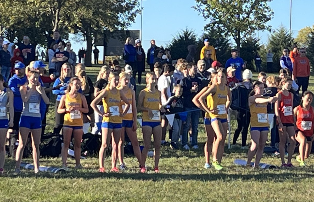 nikhoffman14's tweet photo. Congrats to @OSXCFalcons! These girls are tough as nails &amp; showed their grit @ regionals today, punching their 🎟️ to STATE!! Watching them run FOR EACH OTHER is INSPIRING! @adrianatet @EllaPAnderson 1st goal reached of a spectacular senior year! 💪 @OS_LadyFalconBB https://t.co/0oSwxkGOPj