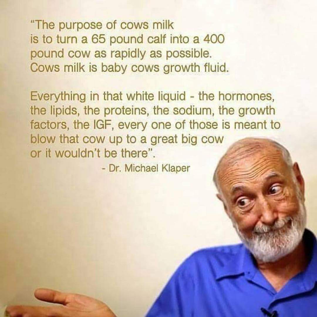 Herbiⓥore tweet media