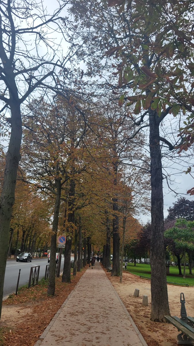 L'automne à Paris!