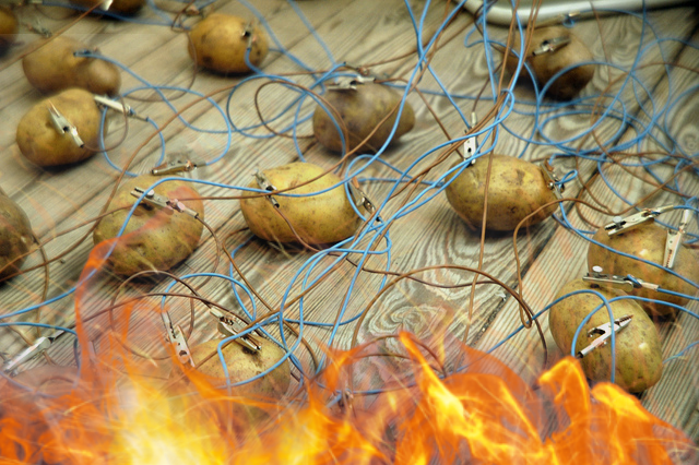 CleanTobi's tweet photo. @OceanzyYoutube fr like look at there servers... https://t.co/ZBk8pig0x6