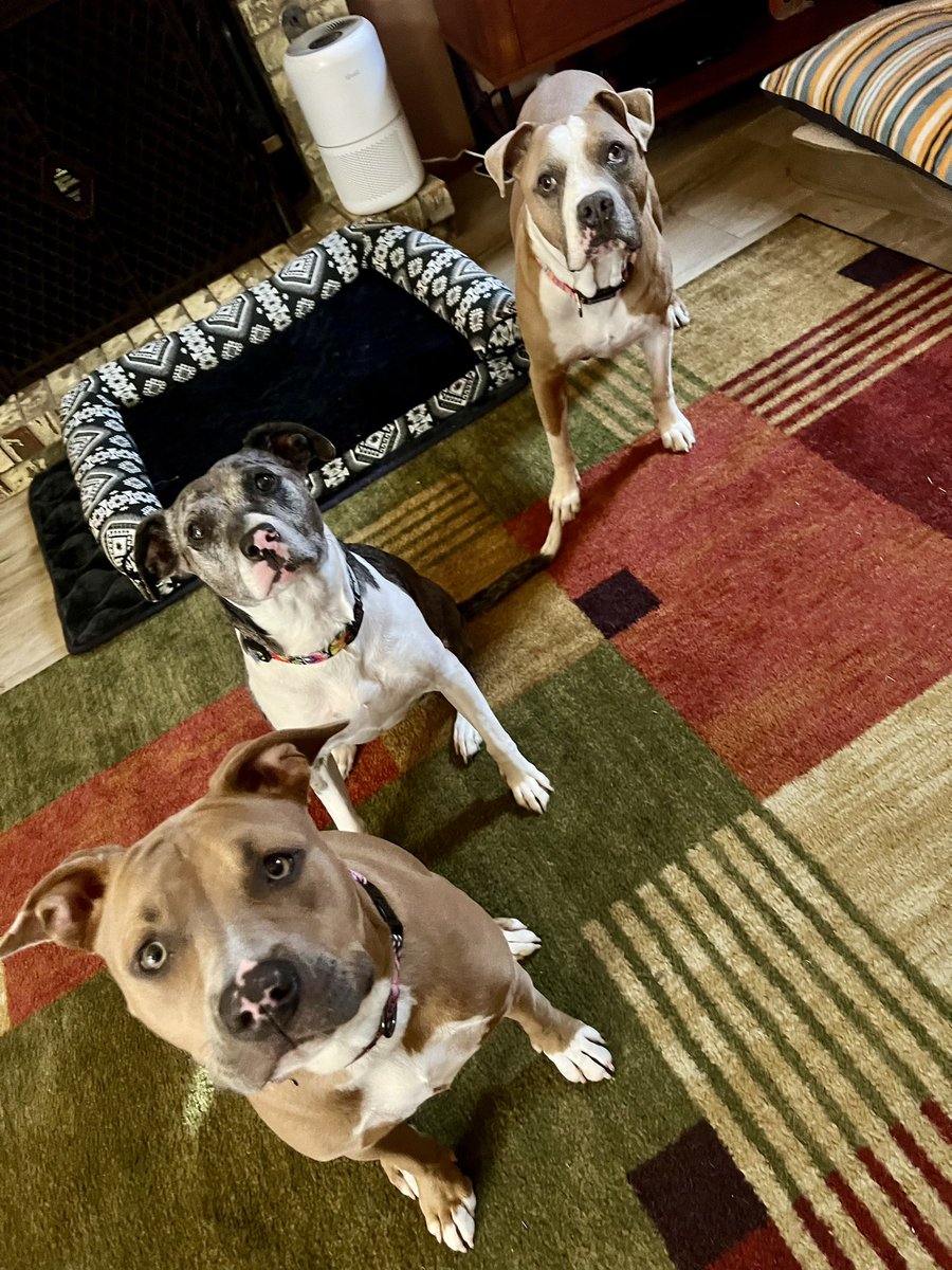 Melissa Hunt tweet media