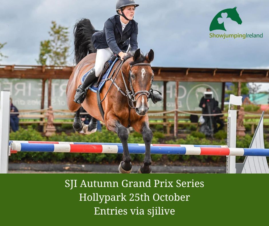 The SJI Autumn Grand Prix continues in Hollypark on October 25th Watch all the action on the SJI live app. Live streaming brought to you in conjunction with Plusvital #SJIAutumnGrandPrix #Hollypark #October25th #showjumping #equestrian #horsecompetition #livestream #plusvital